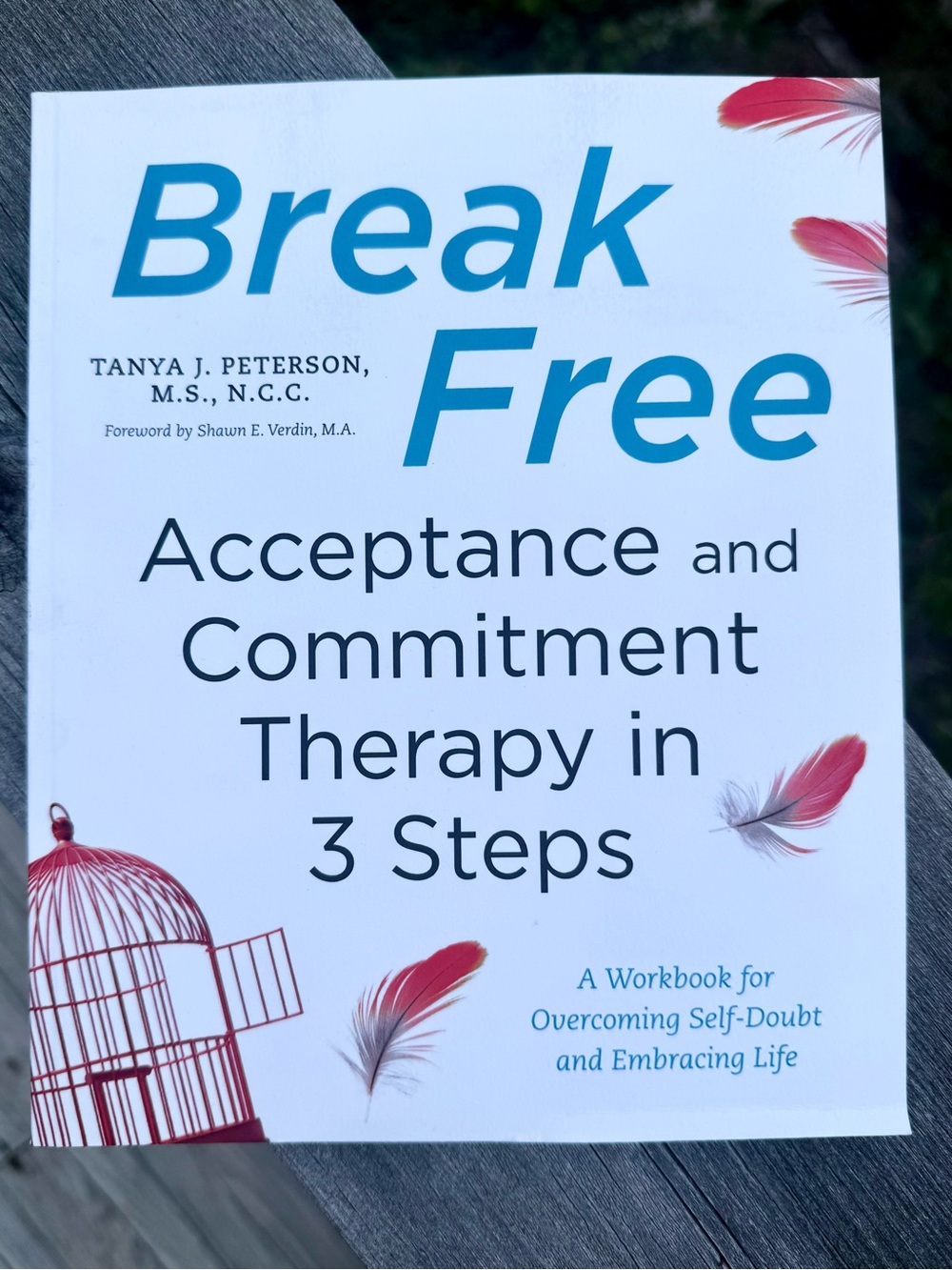 Break Free: Acceptance and Commitment Therapy in 3 Steps – Softcover Workbook